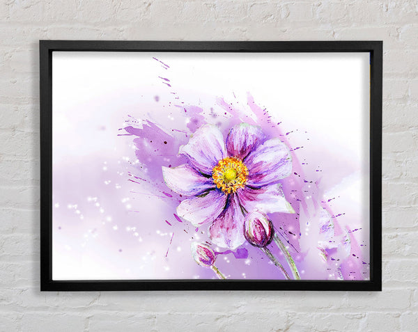 Purple Daisy Bloom Framed Print