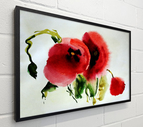 Poppy Vision