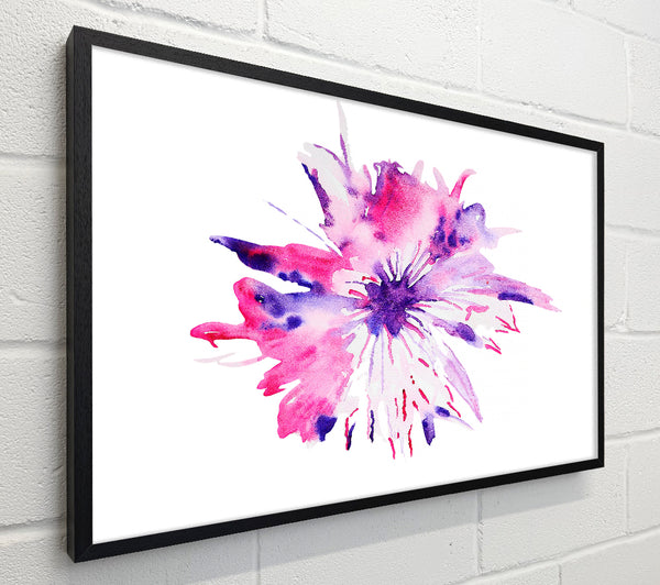 Stunning Petals