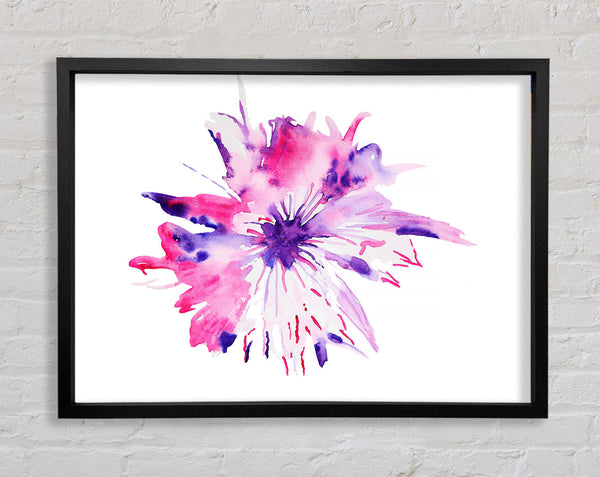 Stunning Petals Framed Print