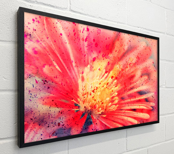 Stunning Red Flower With Yellow Center