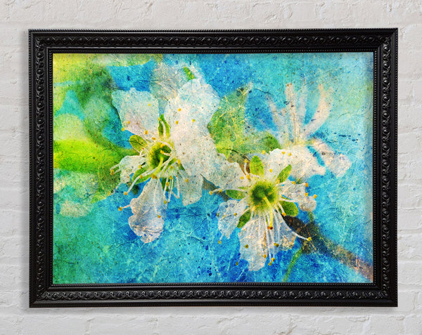 Kirschapfelblüte