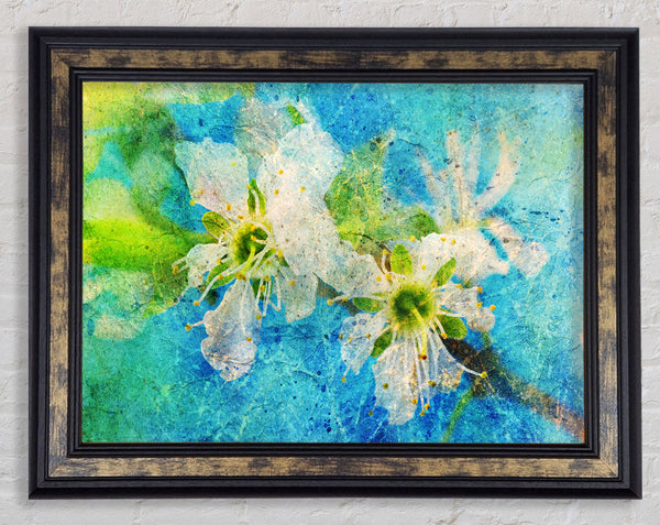 Cherry Apple Blossom Framed Print