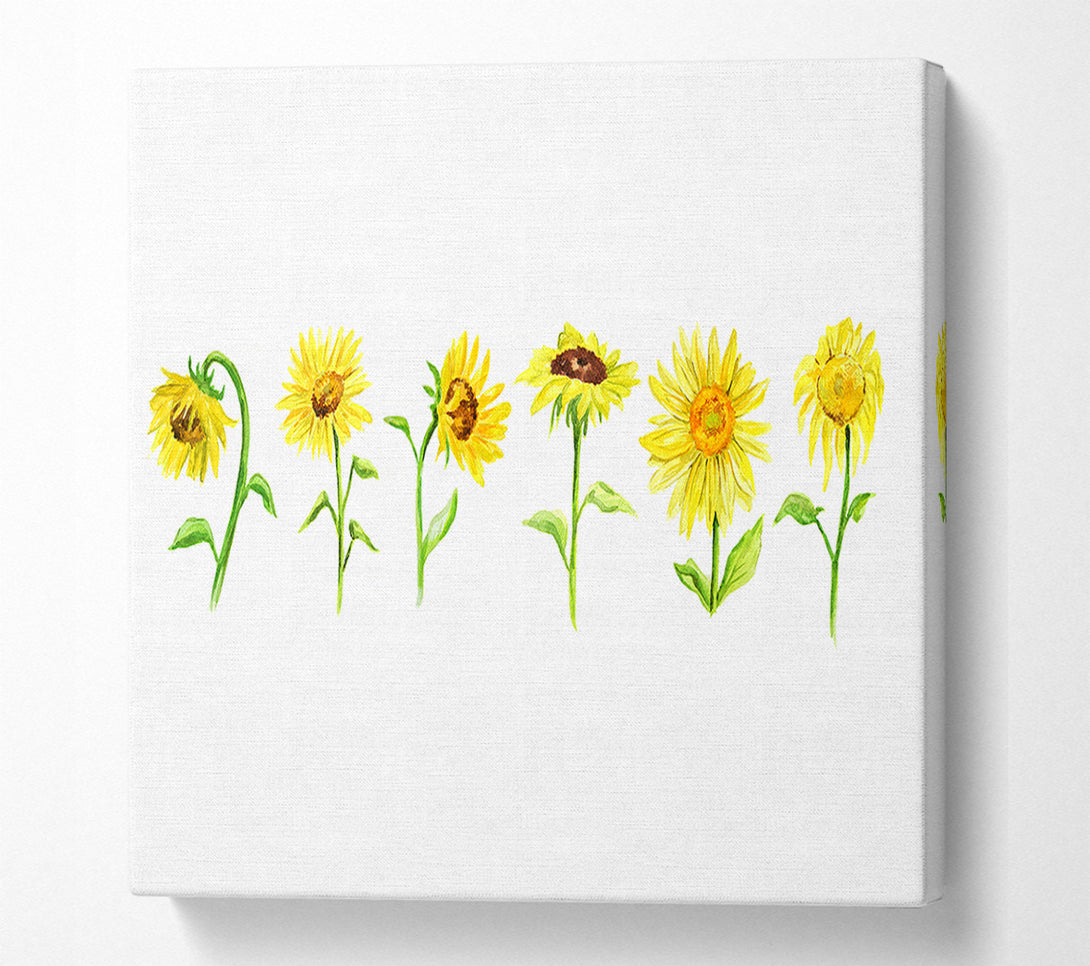  A Canvas Print of Sunflower Row Canvas Wall Art