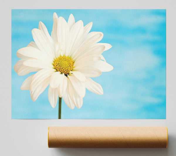 Daisy Skies Poster