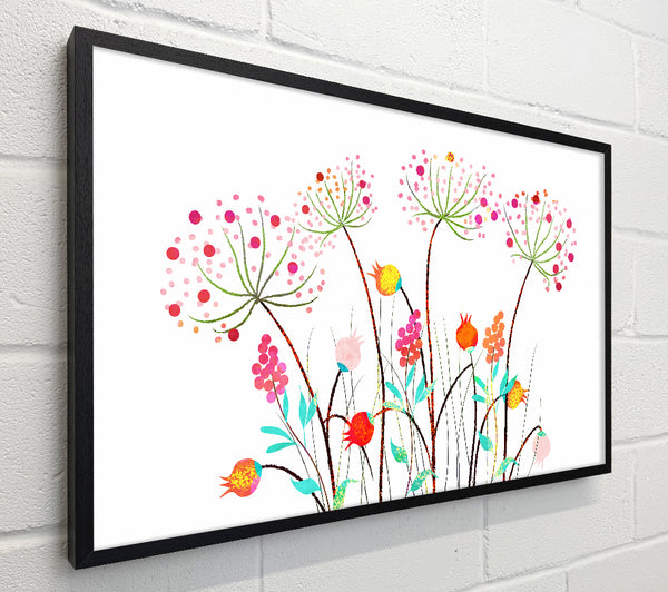 Wild Flower Colours