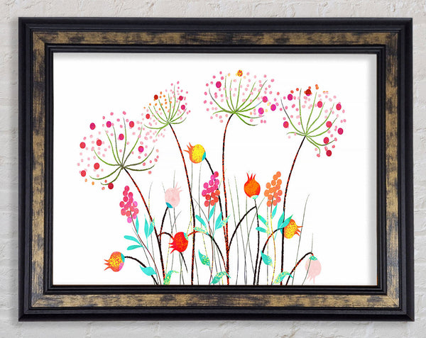 Wild Flower Colours Framed Print