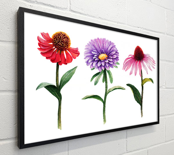 Trio Of Garden Flowers