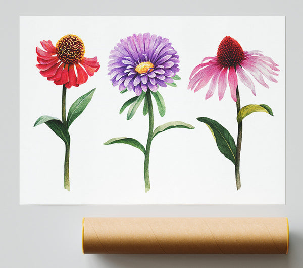 Trio Of Garden Flowers Print
