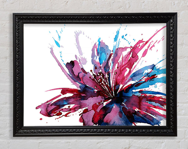 Lily Splash Framed Print