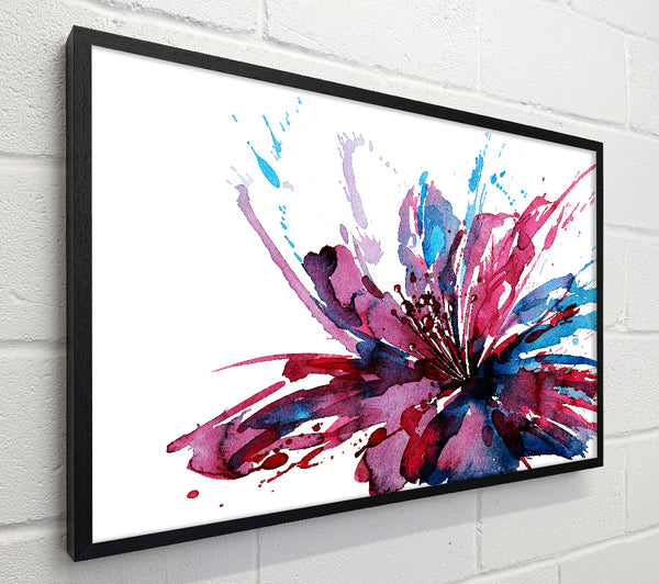 Lily Splash