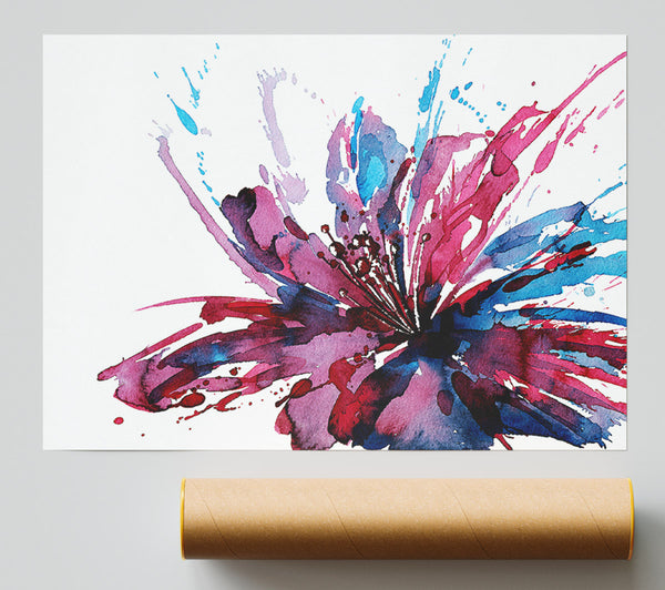 Lily Splash Poster