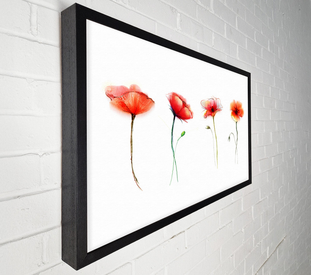  A Canvas Print of Beautiful Red Poppies Canvas Print
