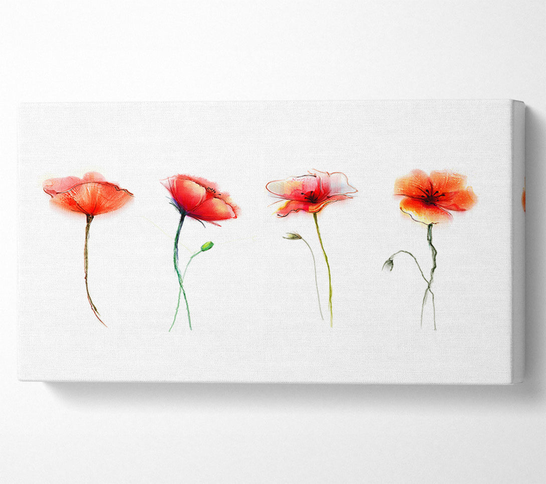  A Canvas Print of Beautiful Red Poppies Canvas Print