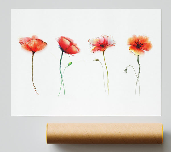 Beautiful Red Poppies Print