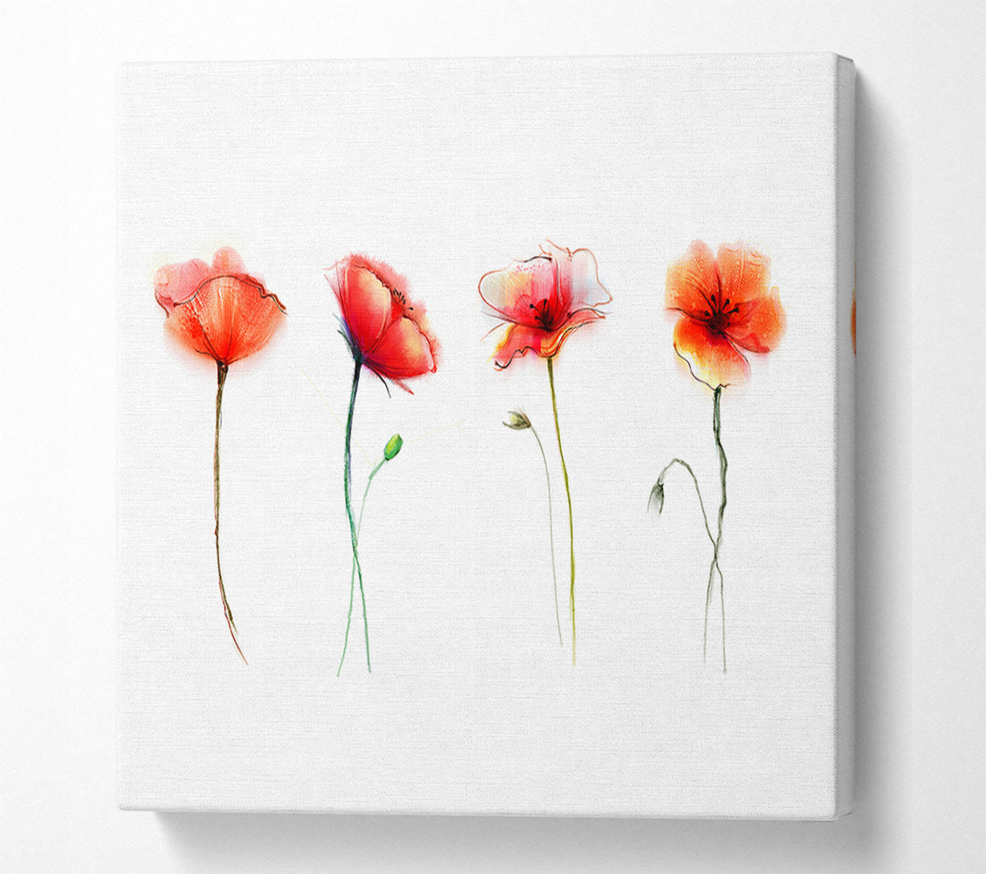  A Canvas Print of Beautiful Red Poppies Canvas Print