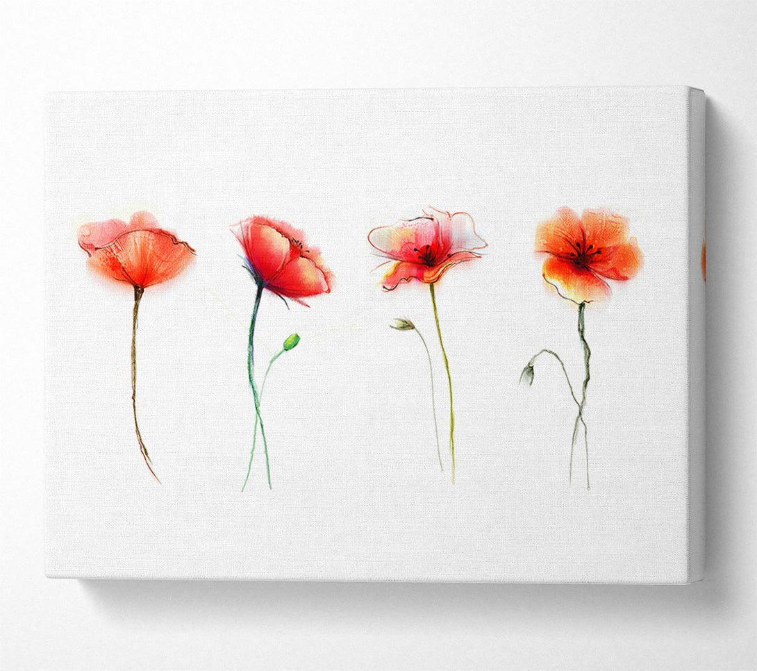  A Canvas Print of Beautiful Red Poppies Canvas Print