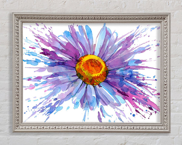 Daisy Splash Framed Print