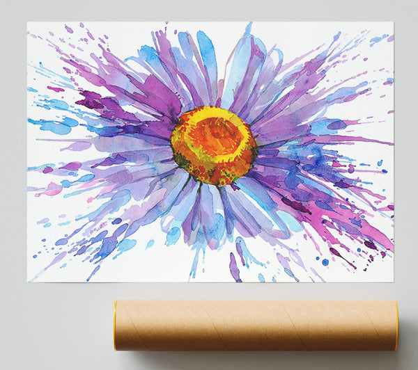Daisy Splash Print