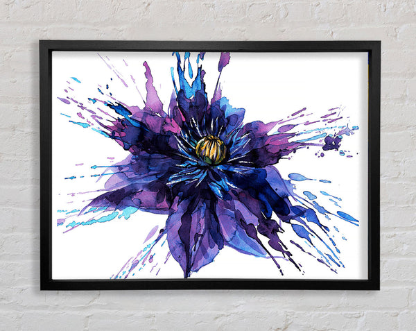 Water Lily Splash Framed Print