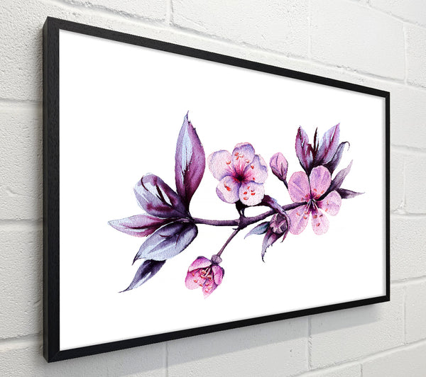 Cherry Tree Beauty