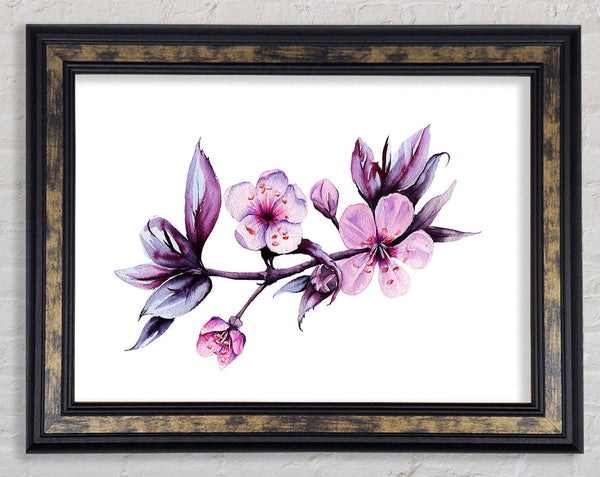 Cherry Tree Beauty Framed Print