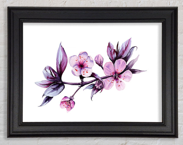 Cherry Tree Beauty Framed Print
