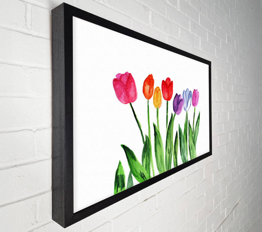  A Canvas Print of Tulip Rainbow Canvas Art