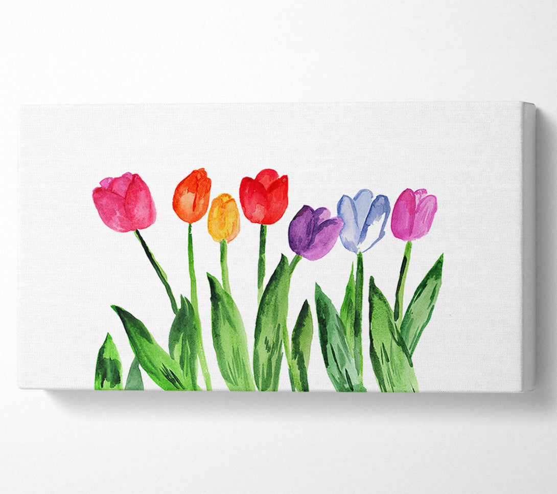  A Canvas Print of Tulip Rainbow Canvas Art