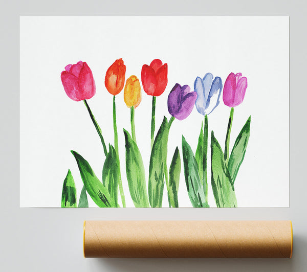 Tulip Rainbow Giclee Print