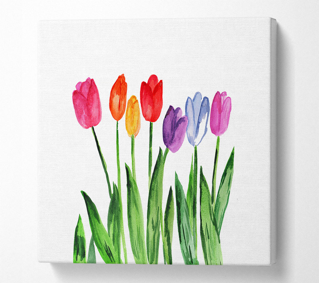  A Canvas Print of Tulip Rainbow Canvas Art