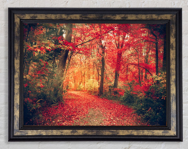 Red Tree Walk Framed Print