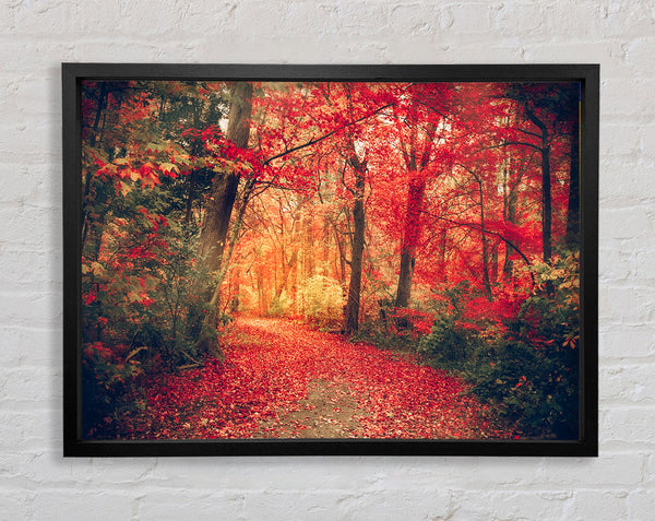 Red Tree Walk Framed Print