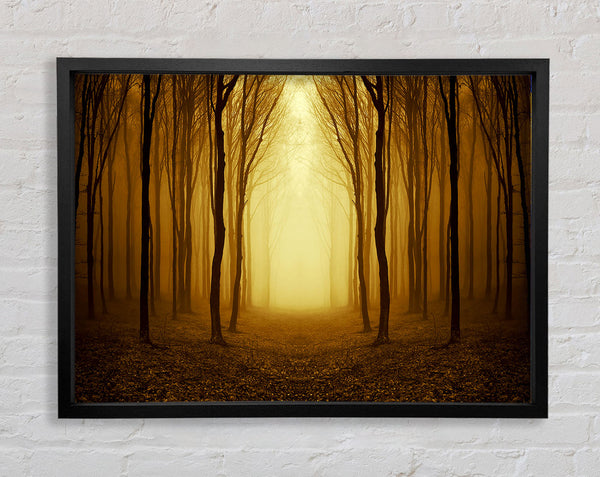 Through The Golden Path Framed Print