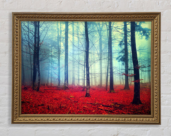 Mist In The Red Forest Framed Print