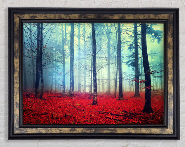 Mist In The Red Forest Framed Print