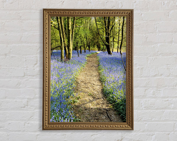 Bluebell Path Framed Print