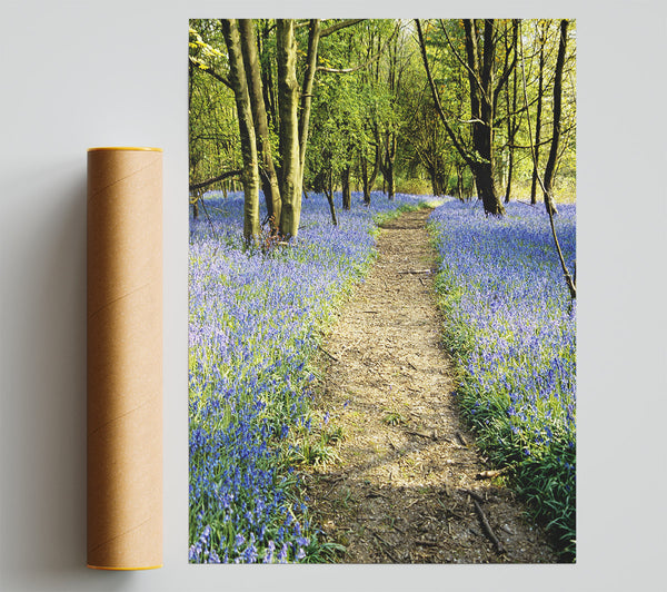 Bluebell Path Poster