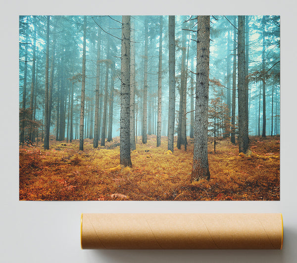 Misty Forest Glow Print