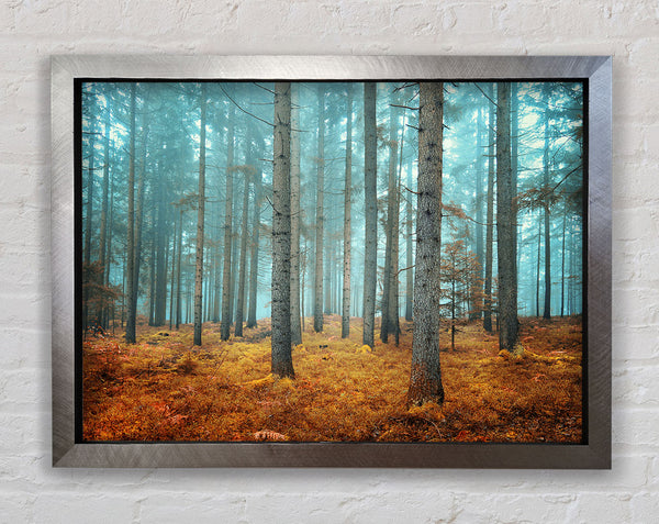 Misty Forest Glow Framed Print