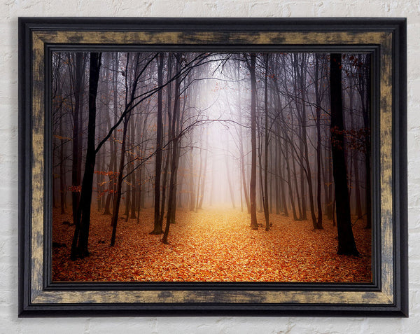 Autumn Mist Framed Print