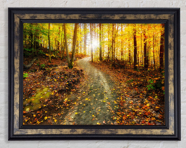 Path To The Sun 1 Framed Print