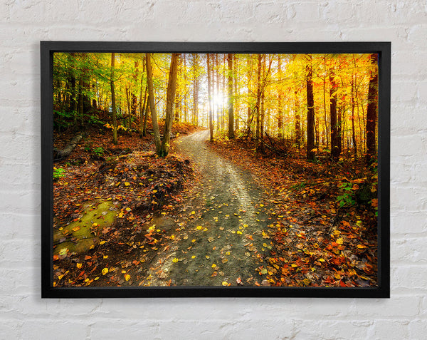 Path To The Sun 1 Framed Print