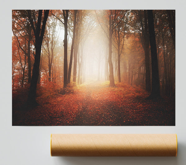Light From Heaven Print