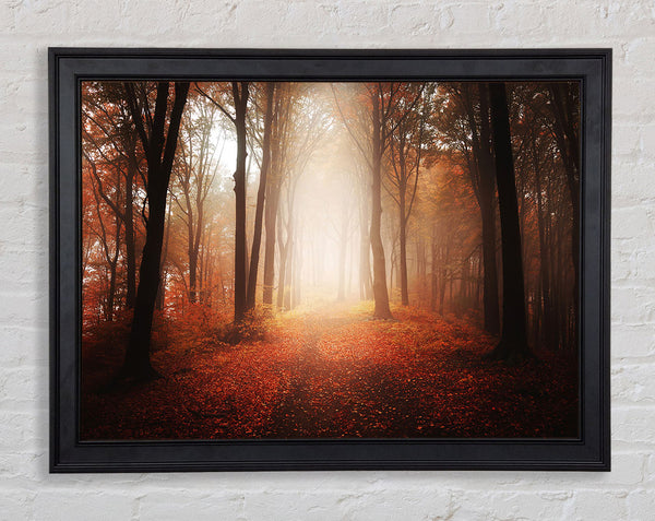 Light From Heaven Framed Print