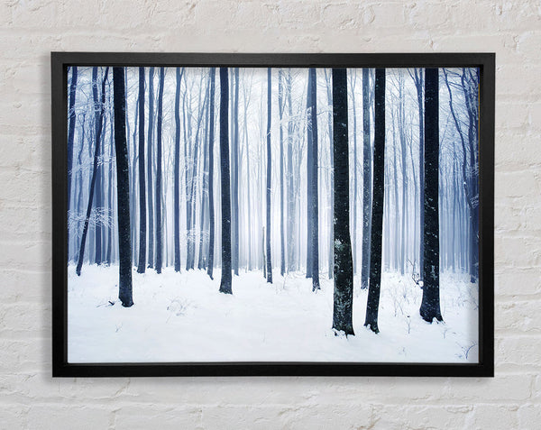 Winter Magic Framed Print