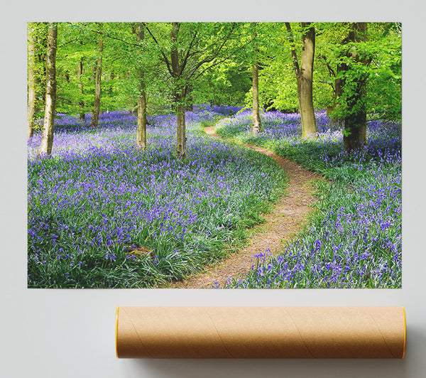 Walk Through The Bluebell Path Giclee Print
