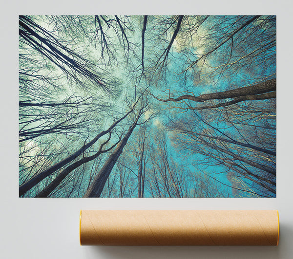 Sky Of Trees Poster