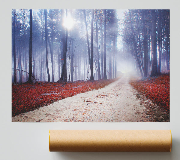 Sun Blaze Through The Mist Poster
