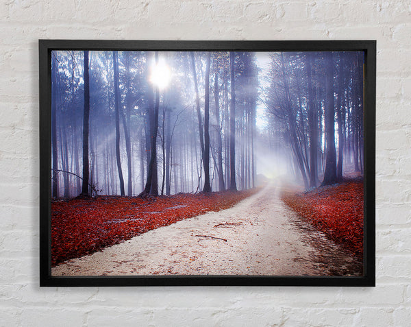 Sun Blaze Through The Mist Framed Print